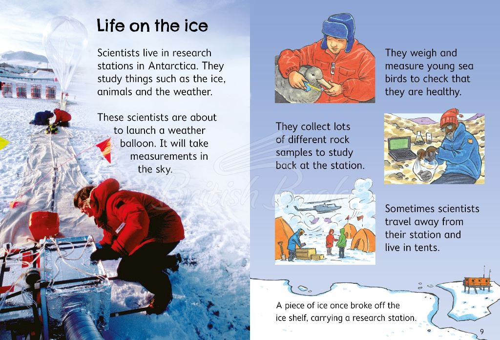 Книга Usborne Beginners Antarctica зображення 2