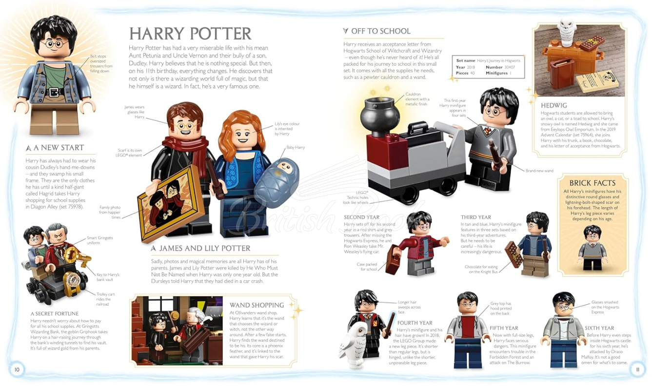 Книга LEGO Harry Potter Visual Dictionary зображення 1