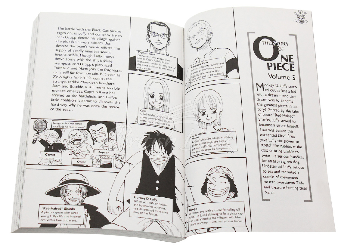 Книга One Piece Vol. 5 изображение 1