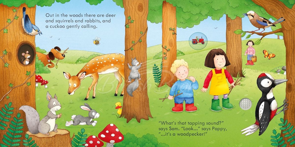 Книга Poppy and Sam's Nature Sounds зображення 4