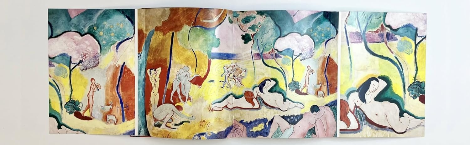 Книга Matisse зображення 6
