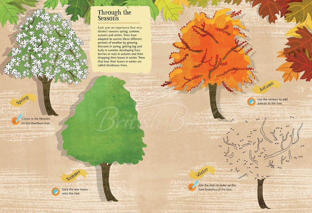Книга Tree Explorer Nature Sticker and Activity Book зображення 3