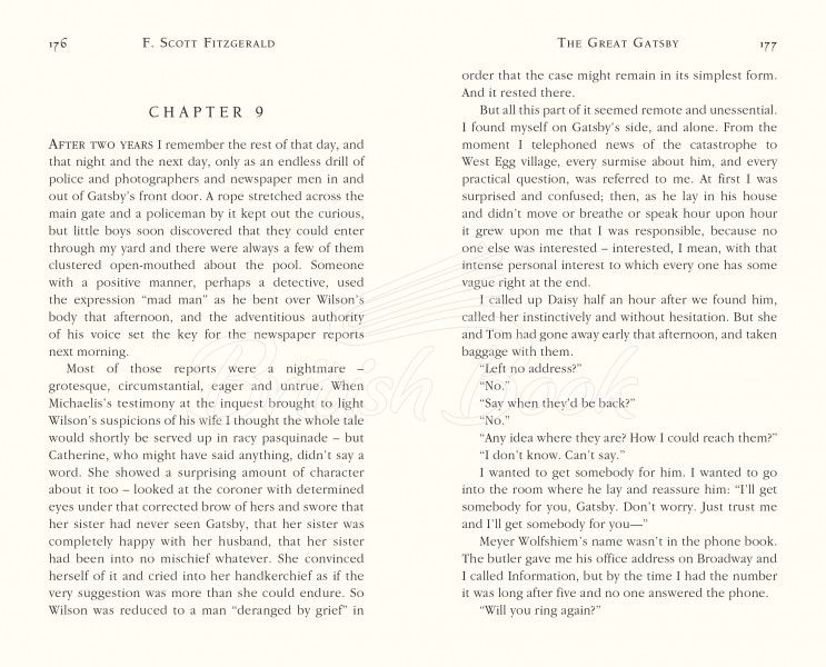 Книга The Great Gatsby зображення 4