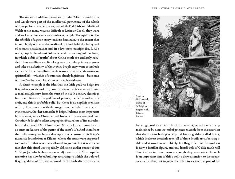 Книга The Celtic Myths That Shape the Way We Think зображення 11
