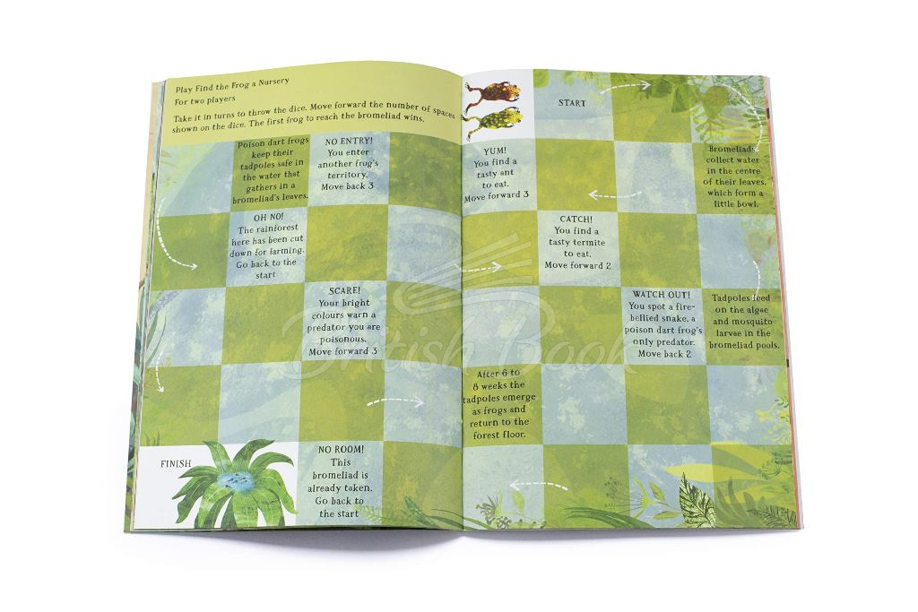 Книга The Big Sticker Book of Blooms зображення 3