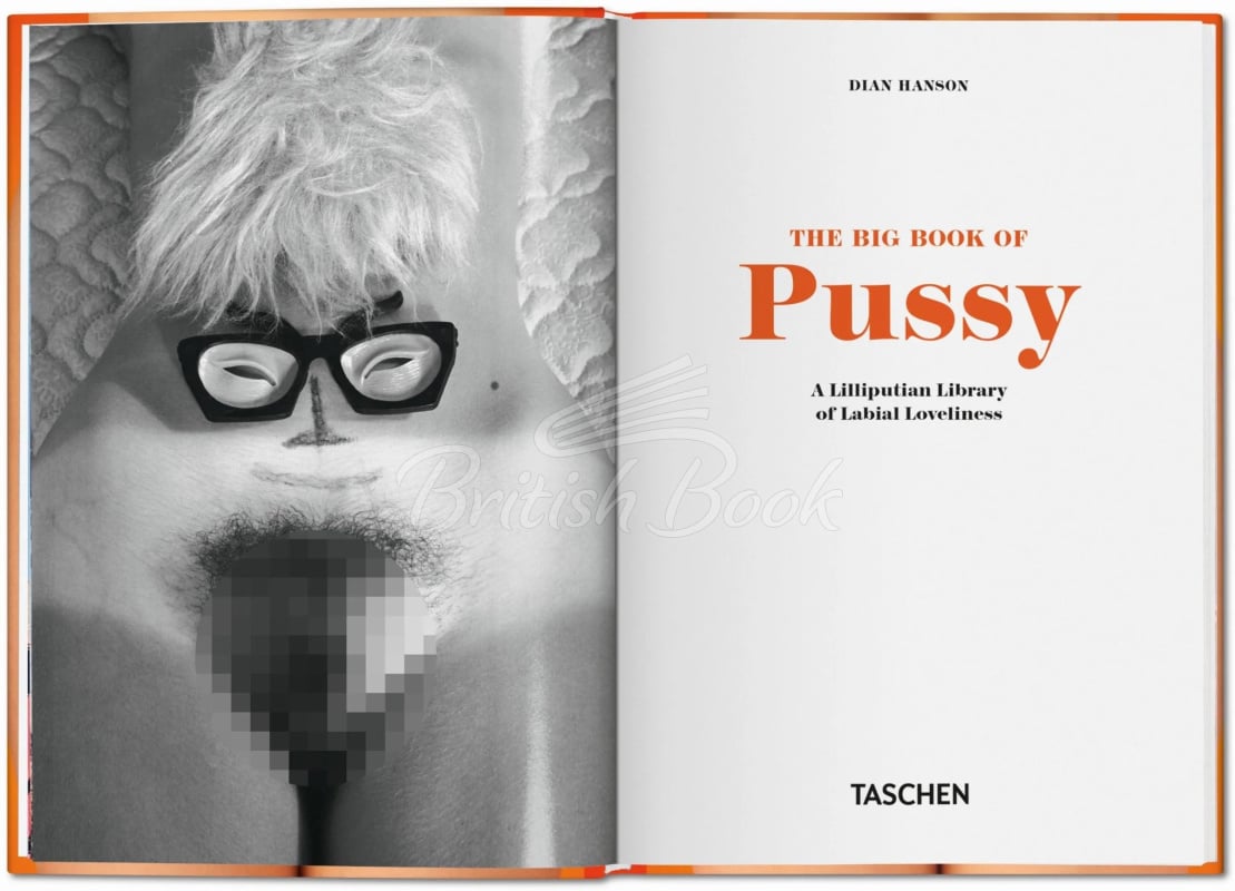 Книга The Little Big Book of Pussy зображення 1