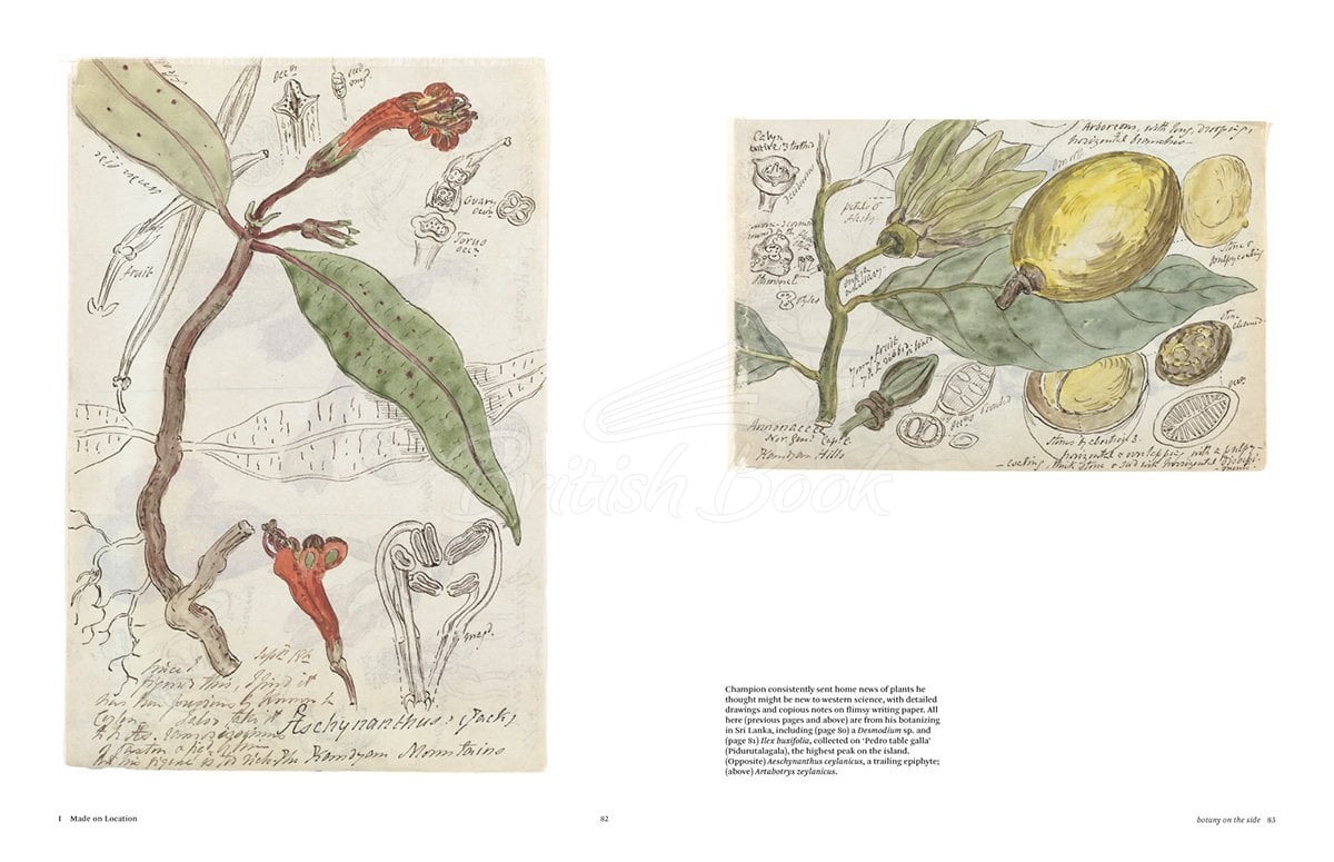 Книга Botanical Sketchbooks изображение 5