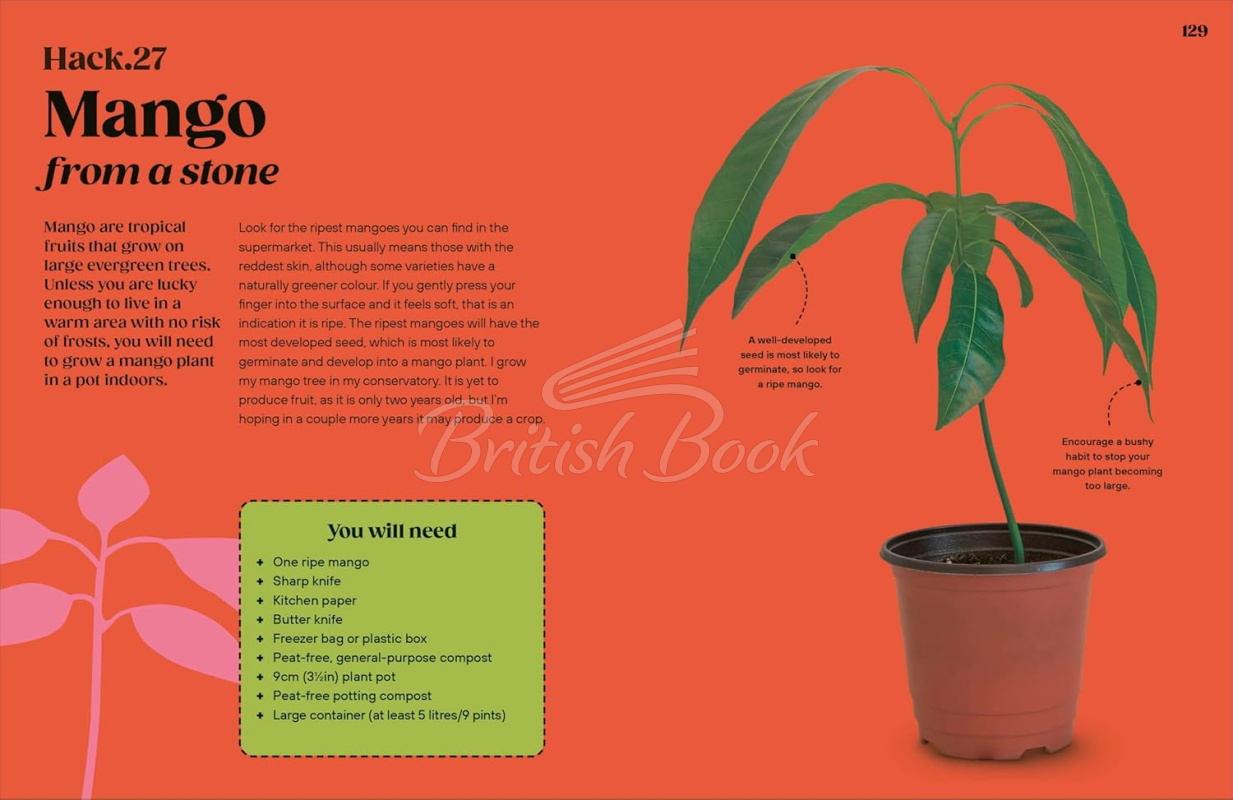 Книга Grow Your Groceries: 40 Hacks for Growing Plants from Your Weekly Shop зображення 6