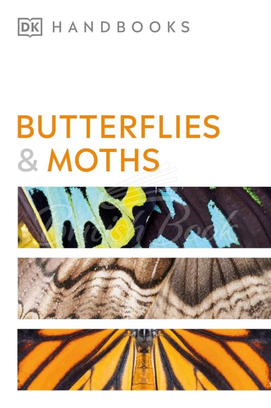 Книга Butterflies and Moths зображення