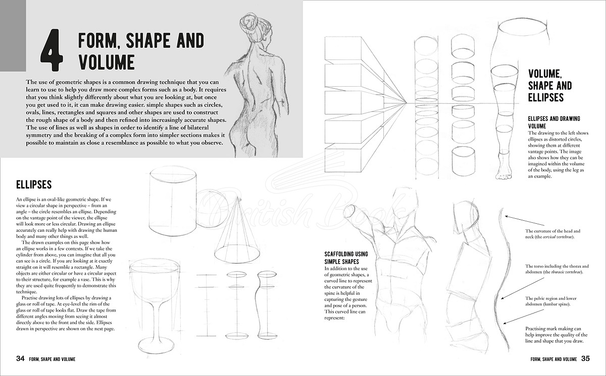Книга Anatomy for the Artist: A Complete Guide to Drawing the Human Body изображение 2