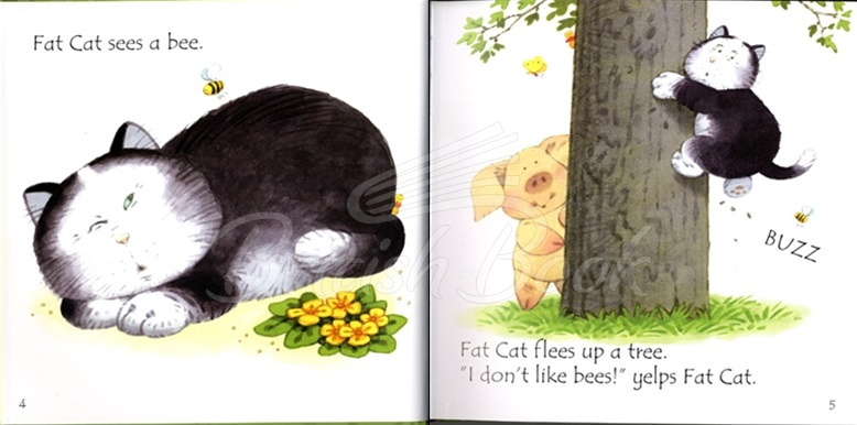 Книжка з диском Fat Сat on a Mat and Other Tales with Audio CD зображення 3