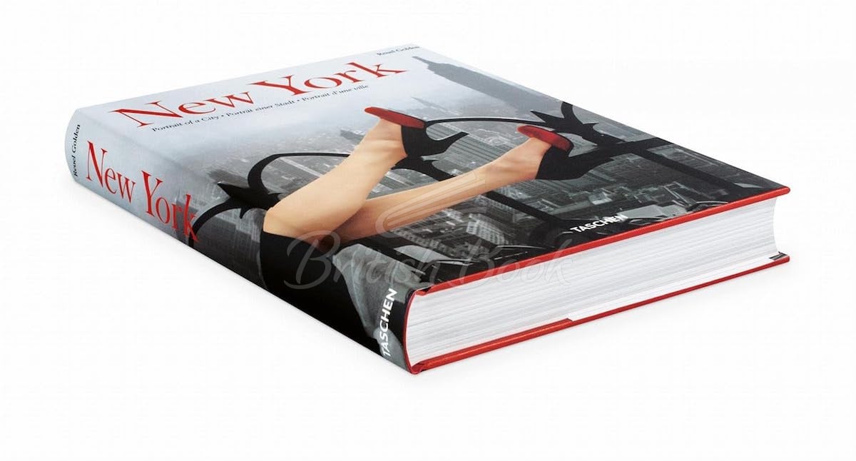 Книга New York. Portrait of a City зображення 1