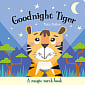 Goodnight Tiger (A Magic Torch Book)