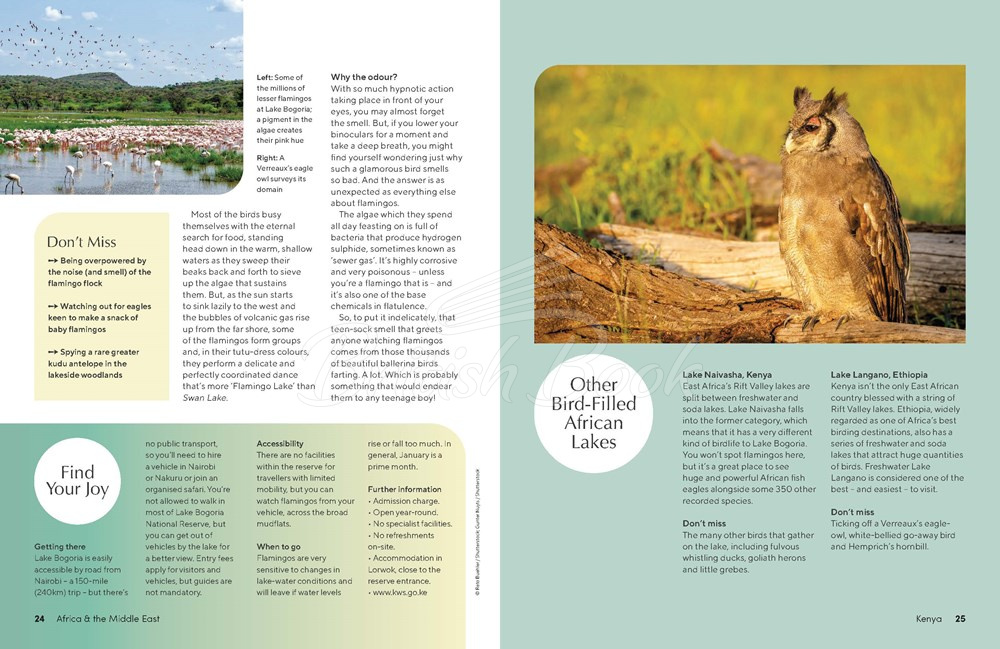 Книга The Joy of Birdwatching изображение 3