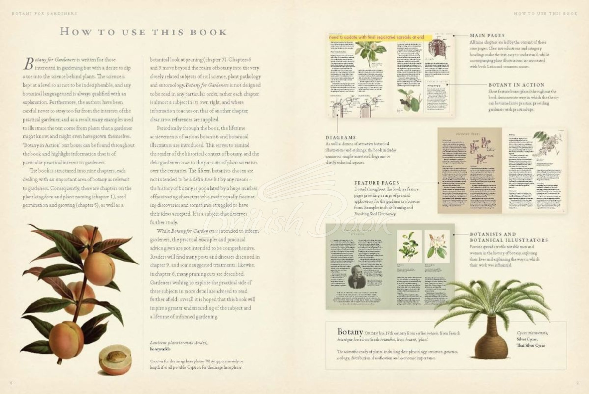 Книга RHS Botany for Gardeners изображение 1