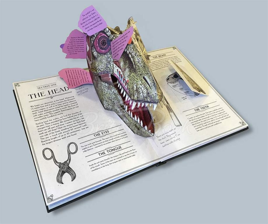 Книга Tyrannosaurus Rex: A Pop-Up Guide to Anatomy зображення 3
