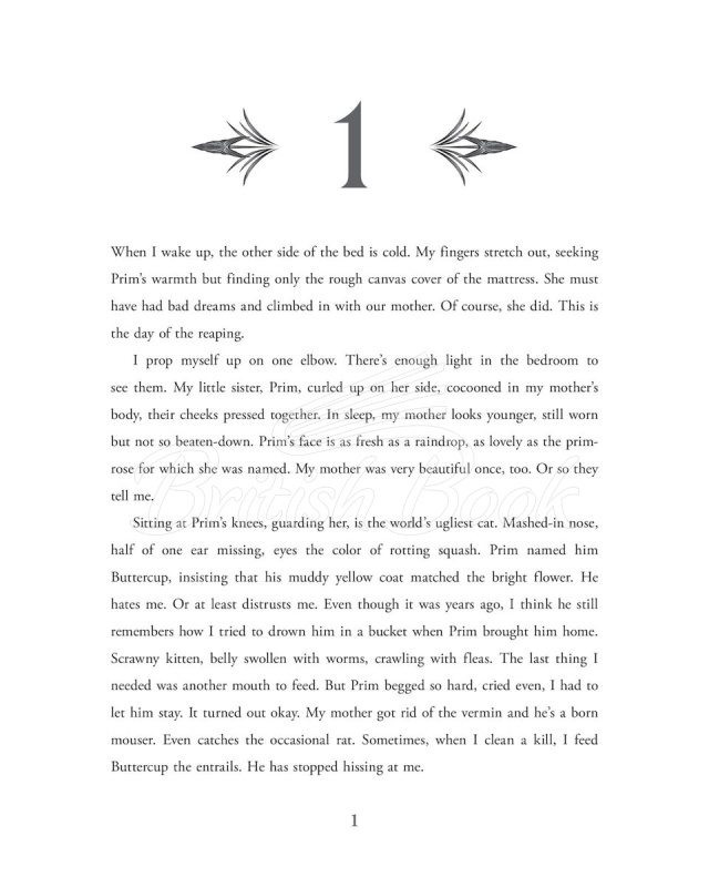 Книга The Hunger Games (Book 1) (Illustrated Edition) зображення 6