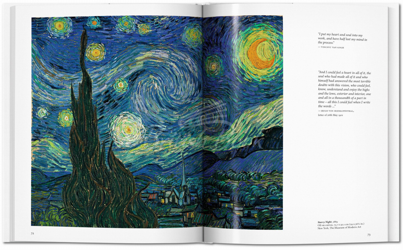 Книга Van Gogh зображення 6