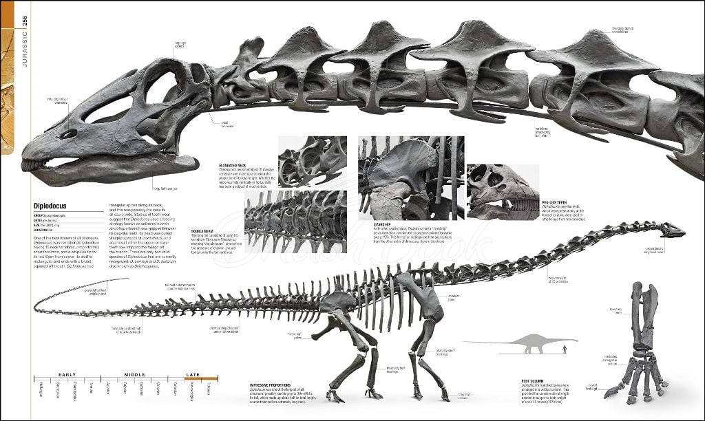Книга Dinosaurs and Prehistoric Life изображение 4