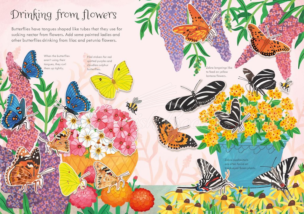 Книга Little First Stickers: Butterflies зображення 2