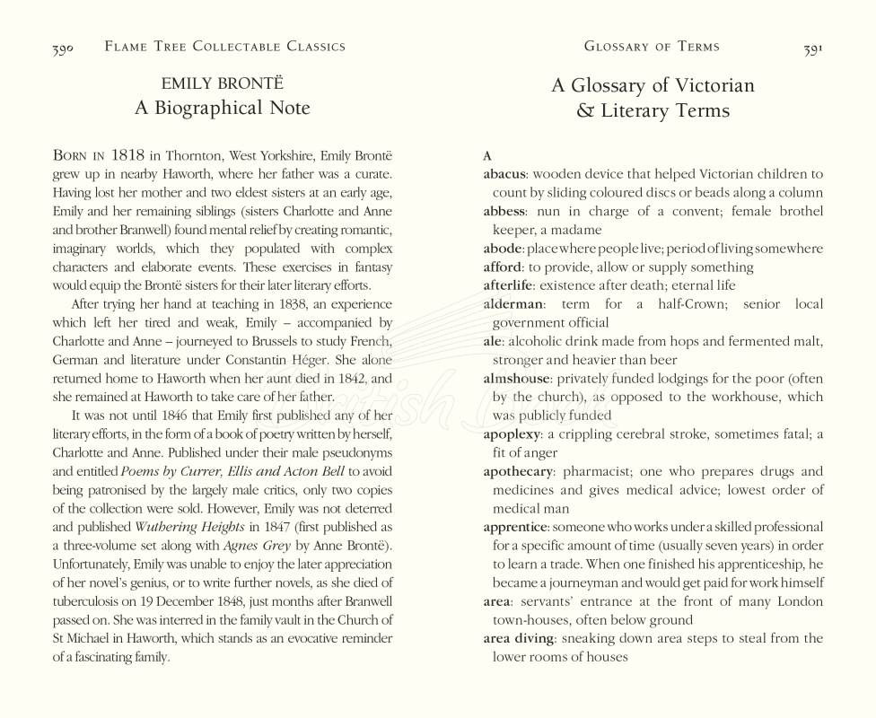 Книга Wuthering Heights зображення 3