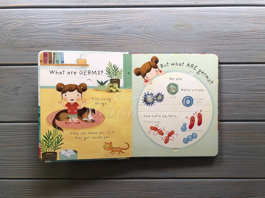 Книга Lift-the-Flap Very First Questions and Answers: What are Germs? изображение 3