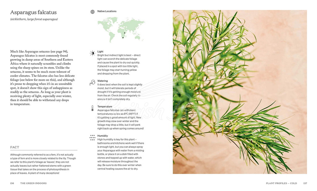 Книга The Green Indoors: Finding the Right Plants for Your Home Environment изображение 12