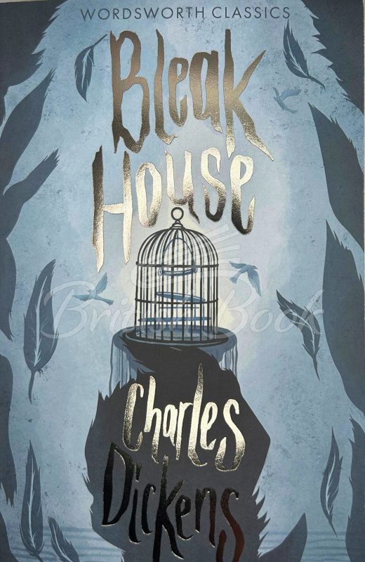 Книга Bleak House зображення