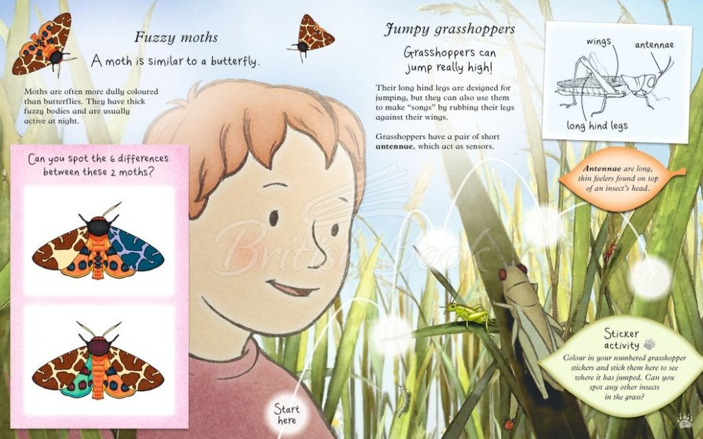 Книга We're Going on a Bear Hunt: Let's Discover Bugs изображение 2