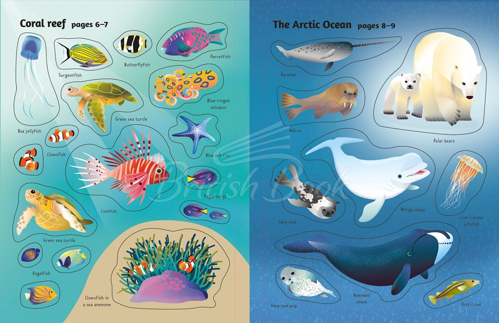 Книга First Sticker Book: Oceans зображення 6