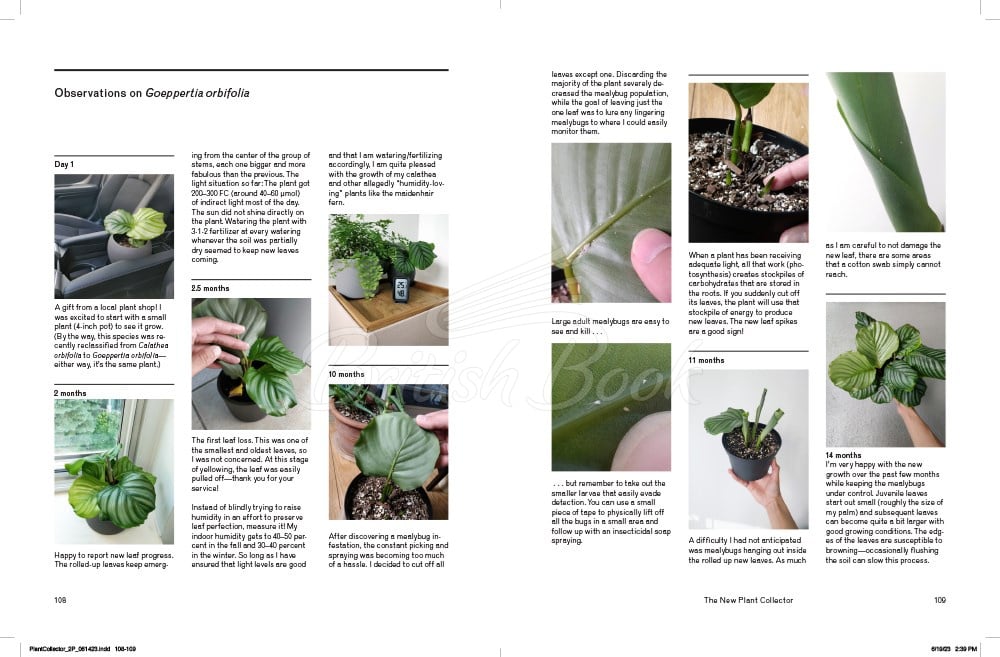 Книга The New Plant Collector зображення 4