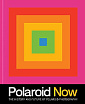Polaroid Now: The History and Future of Polaroid Photography