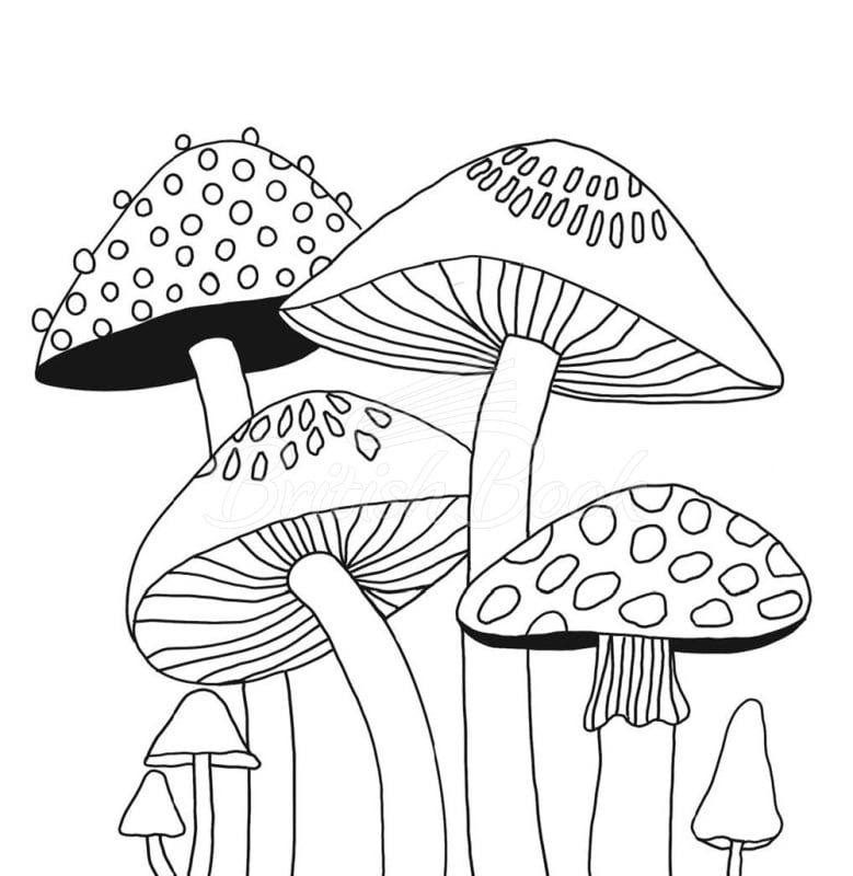 Книга Heyday: A Retro Flower Design Coloring Book изображение 6