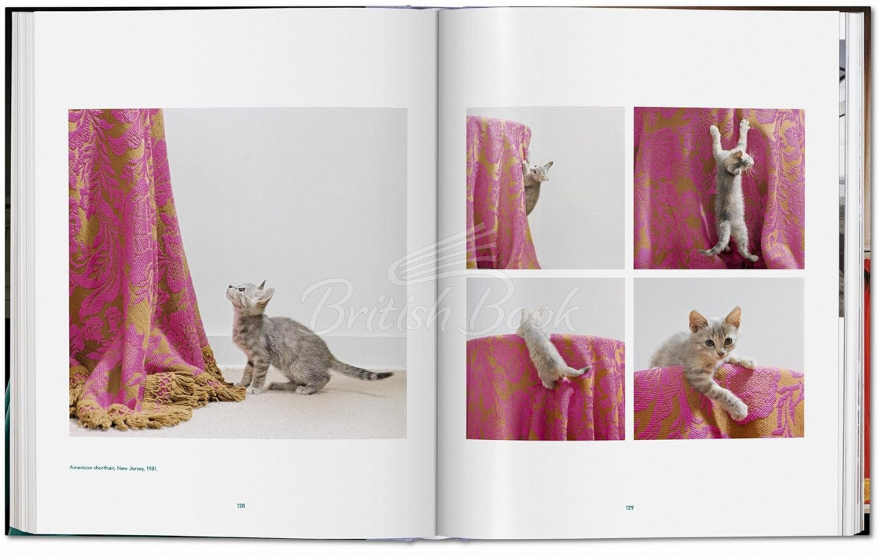 Книга Walter Chandoha. Cats. Photographs 1942–2018 зображення 9