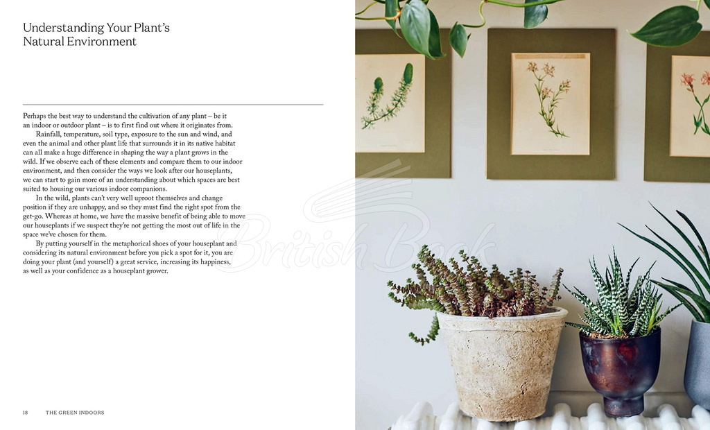 Книга The Green Indoors: Finding the Right Plants for Your Home Environment изображение 5