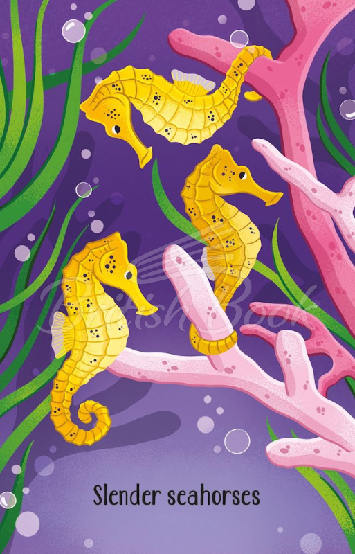 Карткова гра Aquarium Snap зображення 2
