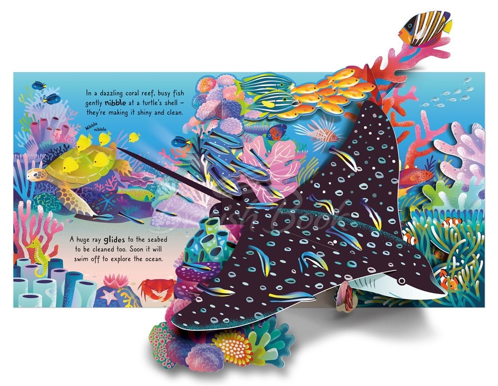 Книга Usborne Pop-up Ocean изображение 1