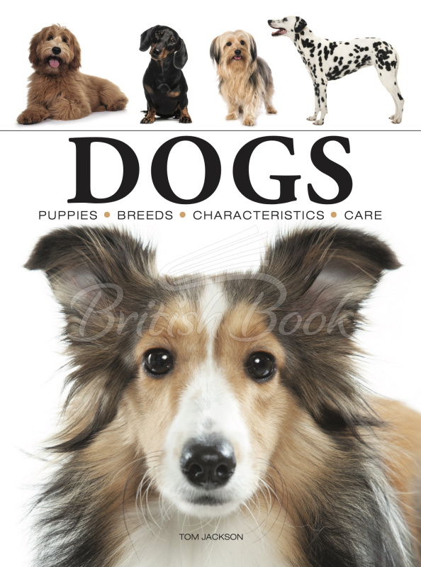 Книга Dogs изображение