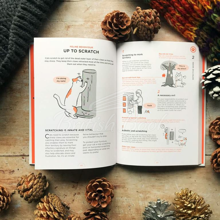 Книга What Cats Want: An Illustrated Guide for Truly Understanding Your Cat изображение 6