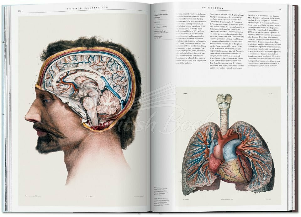 Книга Science Illustration. A History of Visual Knowledge from the 15th Century to Today изображение 7