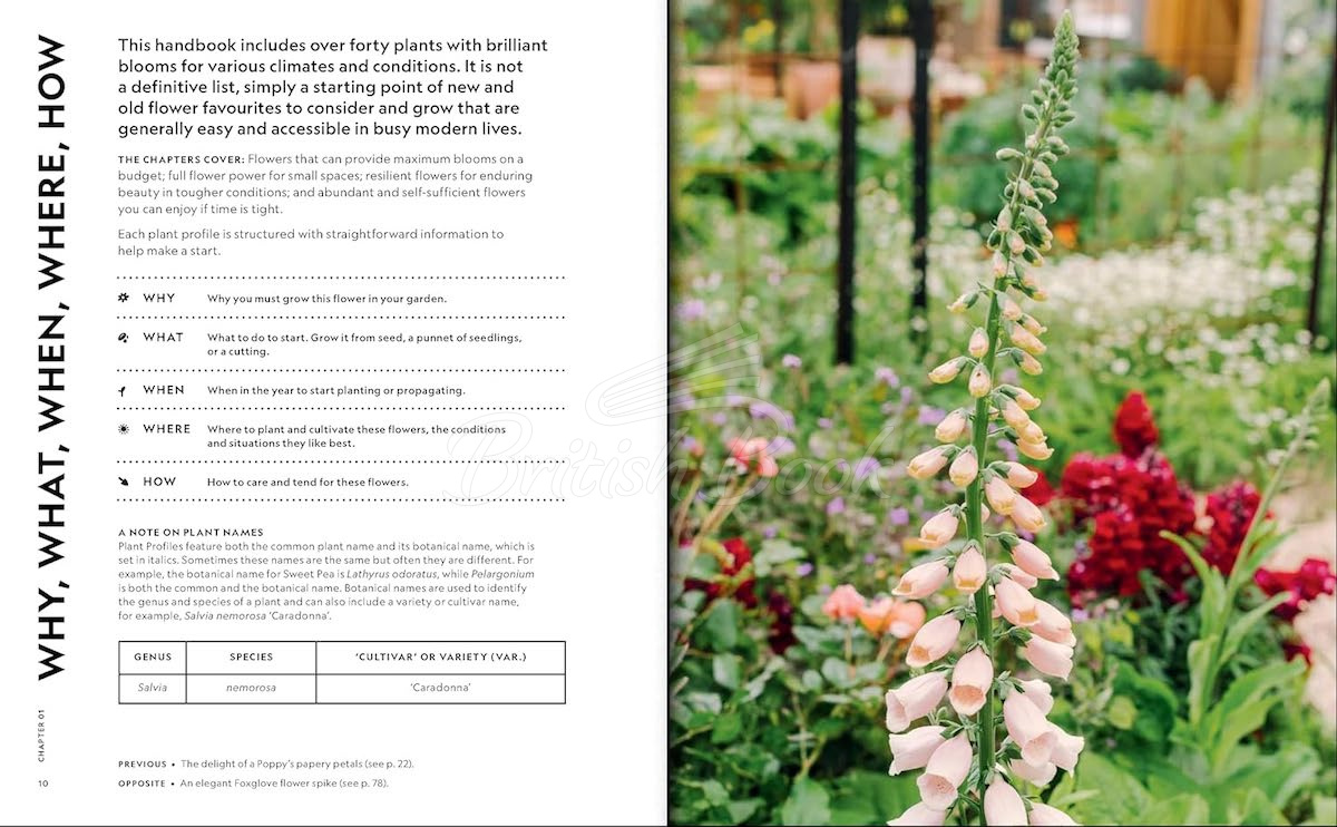 Книга The Super Bloom Handbook зображення 1