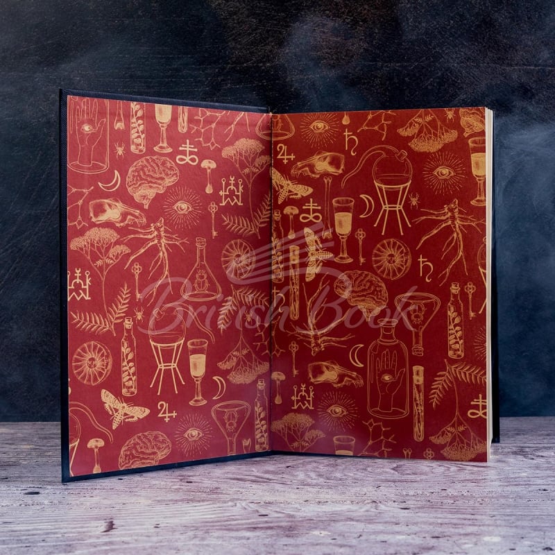 Книга Alchemised изображение 6