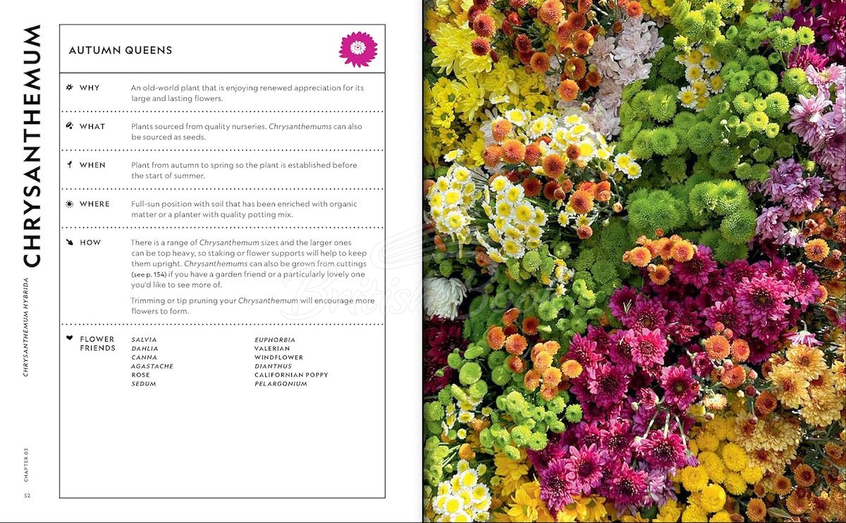 Книга The Super Bloom Handbook зображення 3