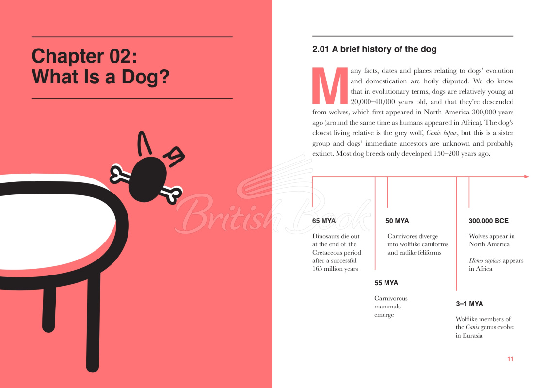 Книга Dogology: The Weird and Wonderful Science of Dogs зображення 4