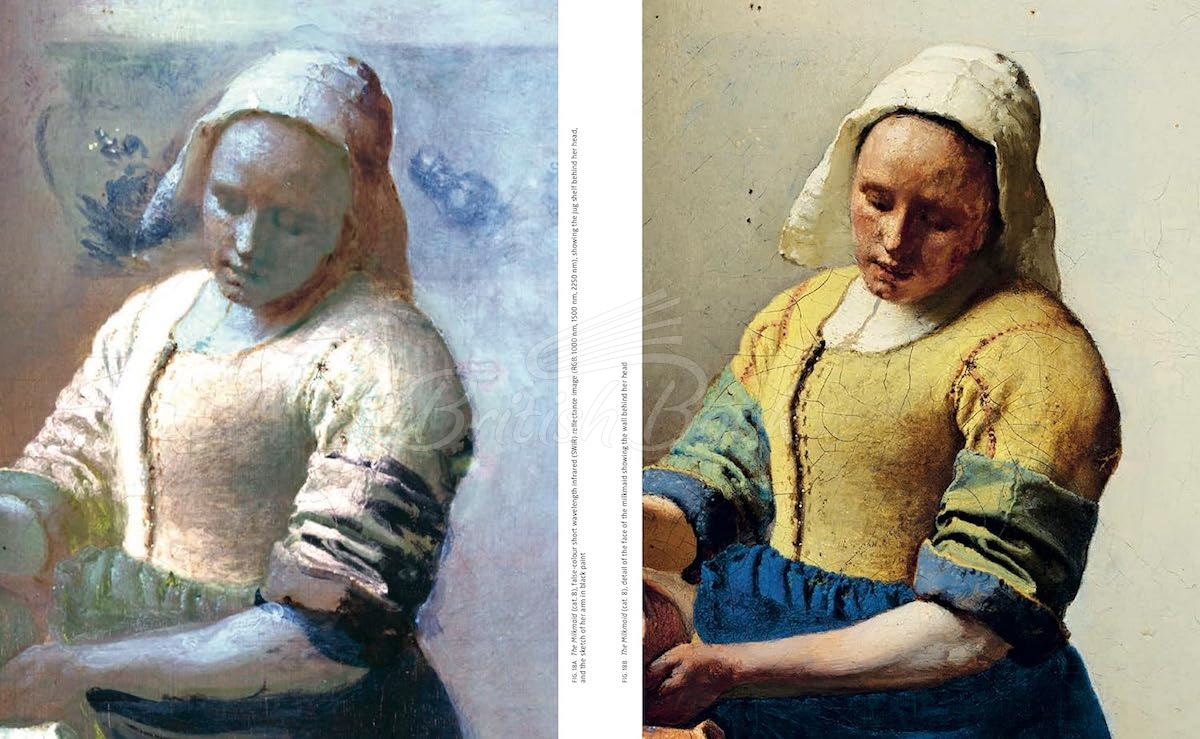 Книга Vermeer зображення 7