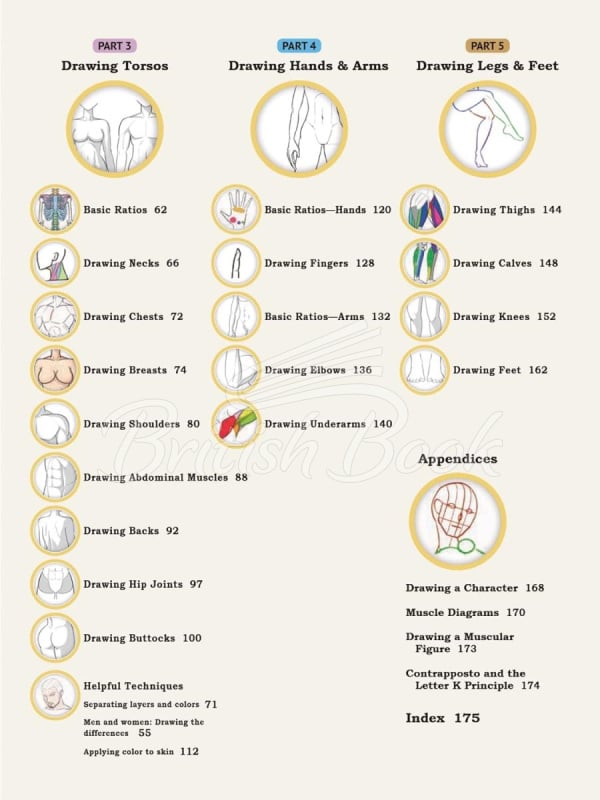 Книга How to Create Manga: Drawing the Human Body зображення 2