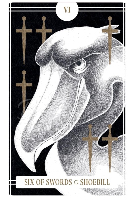 Карти таро The Avian Tarot зображення 2