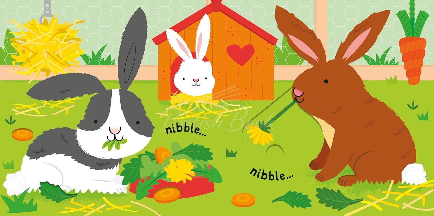Книга Slide and See: Pets изображение 3