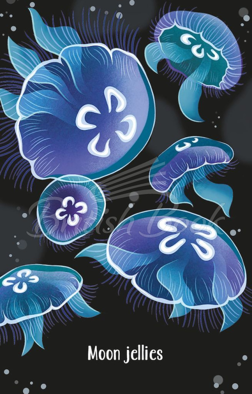 Карточная игра Aquarium Snap изображение 1