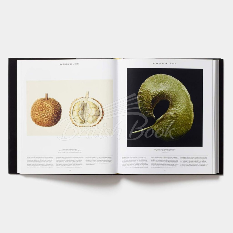 Книга Plant: Exploring the Botanical World изображение 4